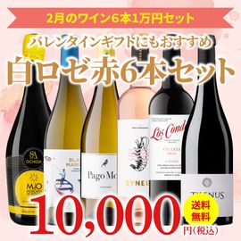 ��33��OFF������̵���ۡ�2��ˤ�������Τ����ʥ磻�󥻥åȡ�磻�󥢥ɥХ�����������6��1���ߥ��å�