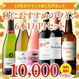 ��37��OFF������̵���ۡ�10��ˤ�������Τ����ʥ磻�󥻥åȡ�磻�󥢥ɥХ�����������6��1���ߥ��å�