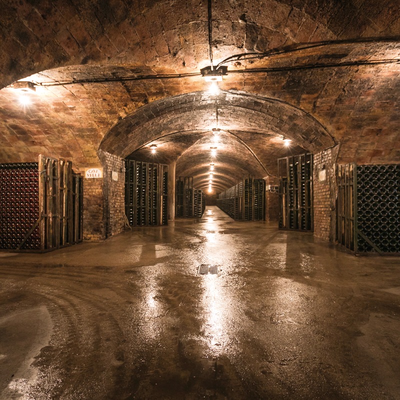 ���٥��㡦�֥��åȡ�����ڥꥢ���Rovellats Brut Imperial