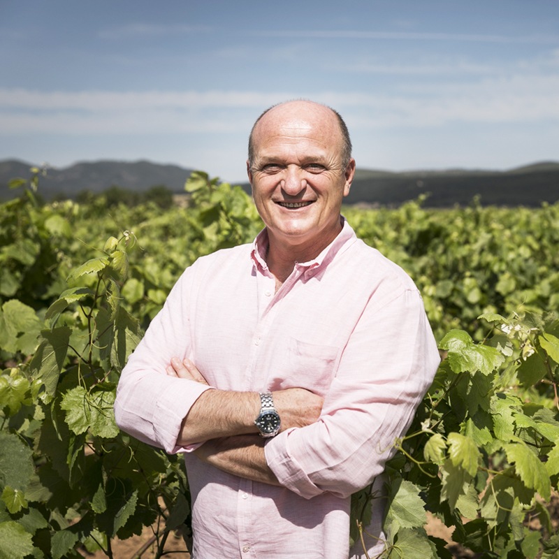 ٥㡦󡦥쥻СRovellats Gran Reserva