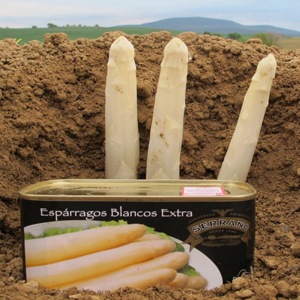 �ʥС��黺�����ѥ饬����� �̵�Ȣ��230g��Esparrago blanco extra