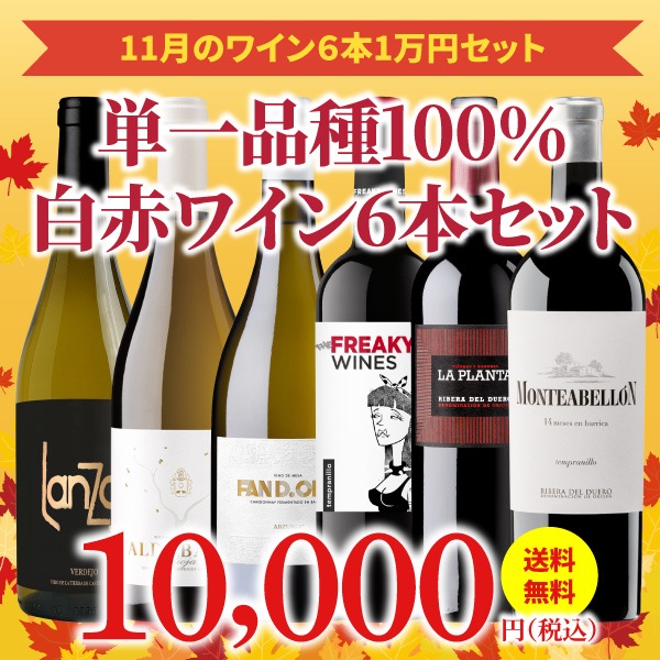 43OFF̵ۡ11ˤΤʥ磻󥻥åȡ磻󥢥ɥХ61ߥå