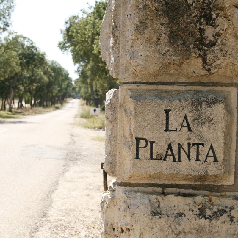 顦ץ󥿡La Planta