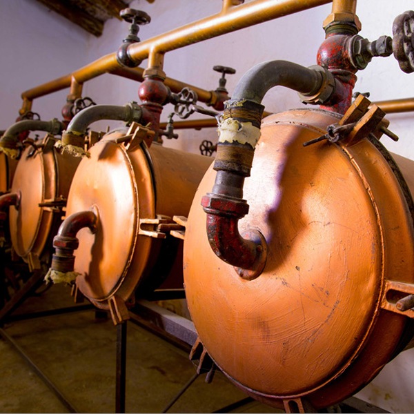 ʡǡƥʥ֥󥳡Tardana de Estenas