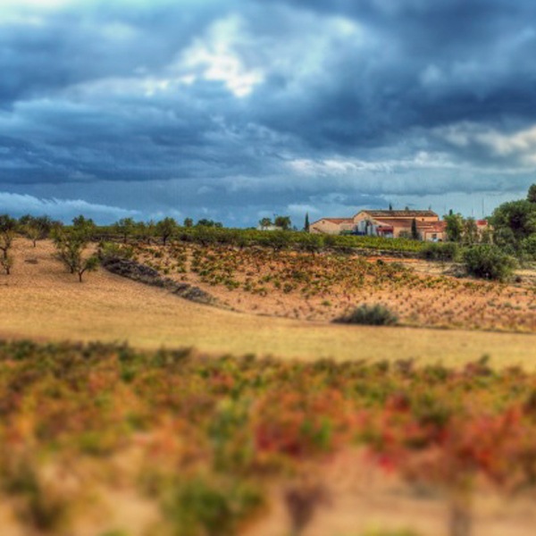 ɥ󡦥إCasa don Angel