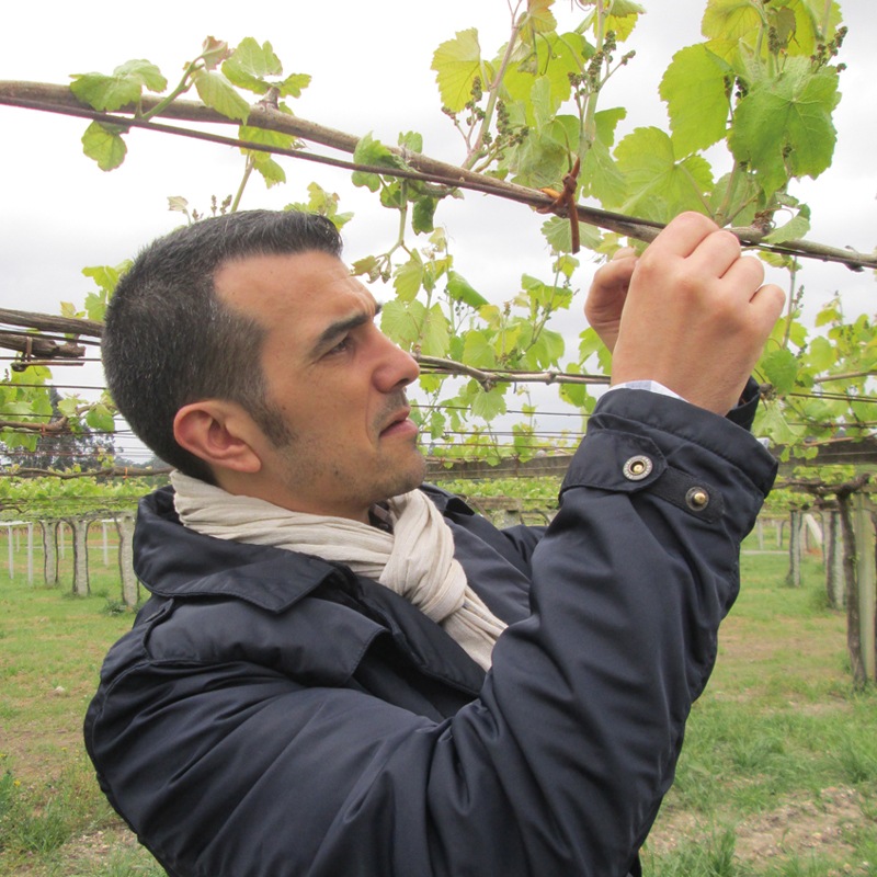 �ޥ롦�ǡ�����٥���Mar De Envero