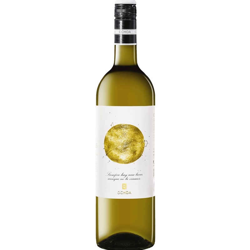 祢֥󥳡Ochoa Blanco