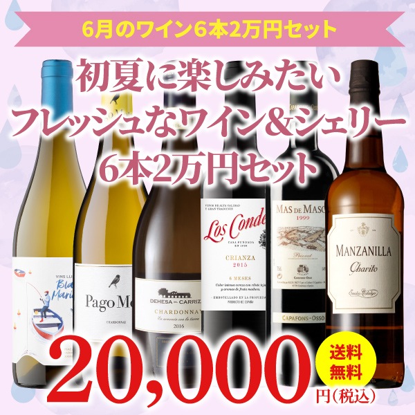 ��44��OFF������̵���ۡ�6��ˤ�������Τ����ʥ磻�󥻥åȡ�磻�󥢥ɥХ�����������6��2���ߥ��å�