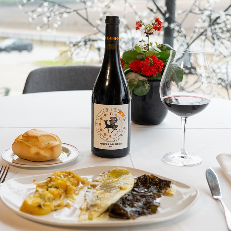 ��ǥ饹���ǥ롦�Υ�ơ��ƥ���ȡ�Laderas del Norte