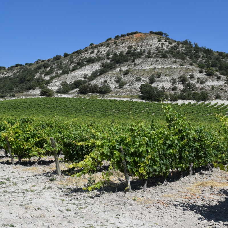 ��ǥ饹���ǥ롦�Υ�ơ��ƥ���ȡ�Laderas del Norte