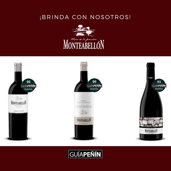 ƥ٥󡦥ꥢ(14᥻)Monteabellon Crianza (14meses)