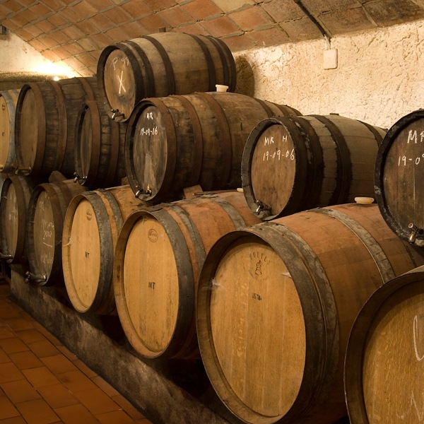 ���ꥹ�ƥ����ꡦ�֥�󥳡�Cristiari Blanco