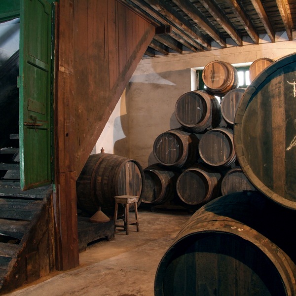 르ƥ㡼ɡHidalgo Amontillado
