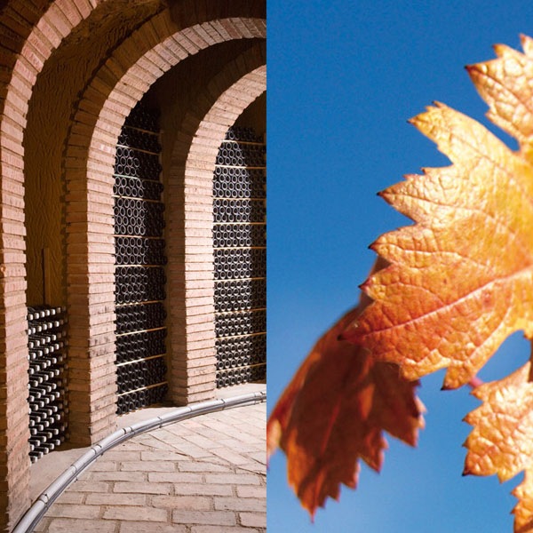 200إ֥󥳡쥻С200 Monges Blanco Reserva