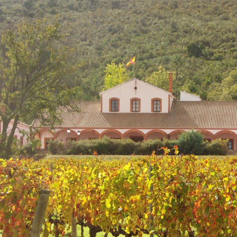 ǥǥ롦ꥵ롦顼Dehesa del Carrizal Syrah