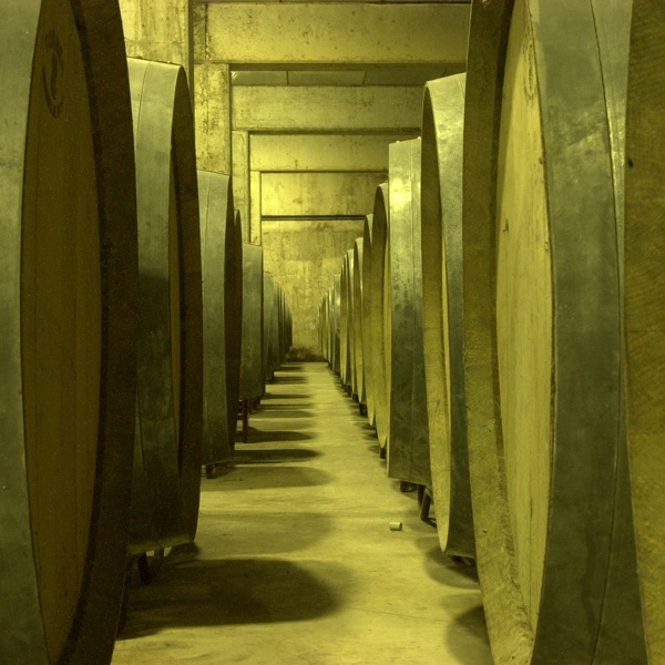 ͥ롦֥åȡMonegal Cerda Brut