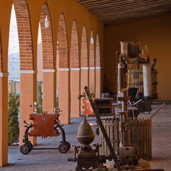 �ڴ����磻��ۡ�ޥ�ƥ롦������ǥ� ���Хꥫ 2023��Mantel Verdejo Barrica 2023