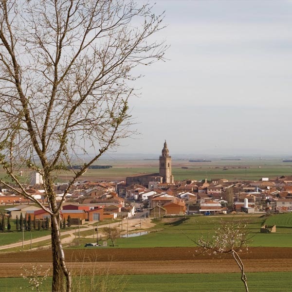 �ڴ����磻��ۡ�ޥ�ƥ롦������ǥ� ���Хꥫ 2023��Mantel Verdejo Barrica 2023