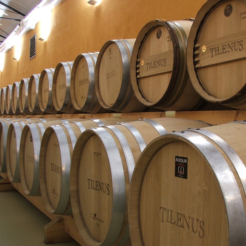 ƥ̥ѥǡݥʥ쥻СˡTilenus Pagos de Posada