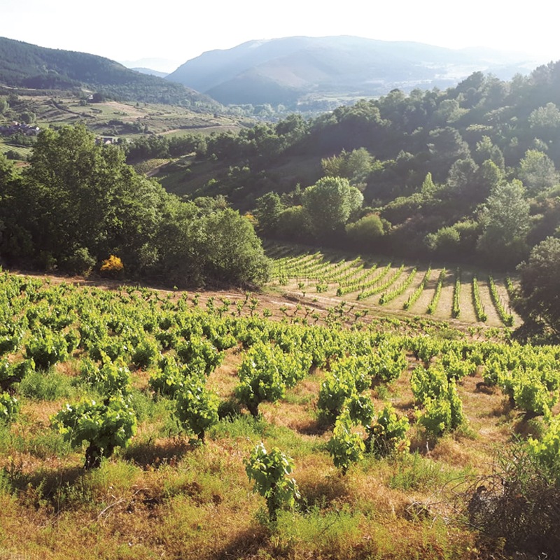 ƥ̥ԥTilenus Pieros