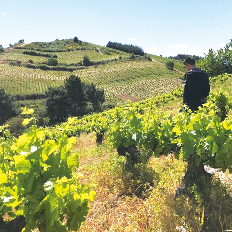 ƥ̥ԥTilenus Pieros