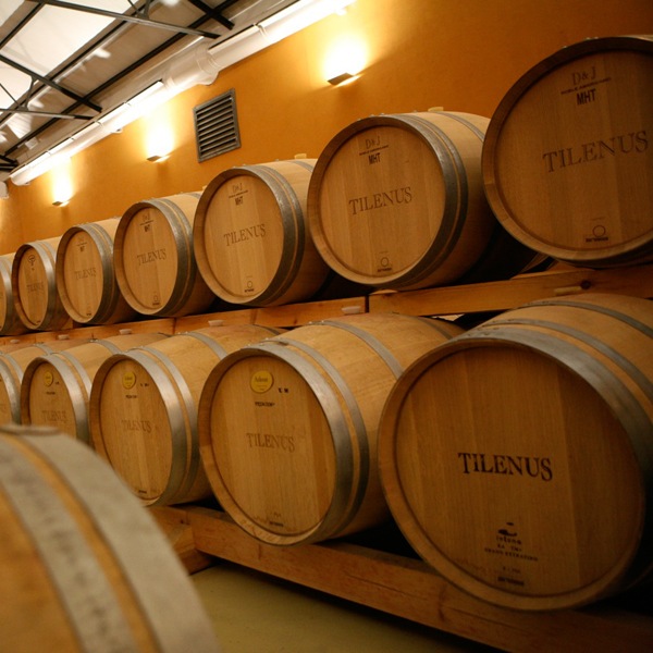 �ƥ���̥������ꥢ�󥵡�Tilenus Crianza