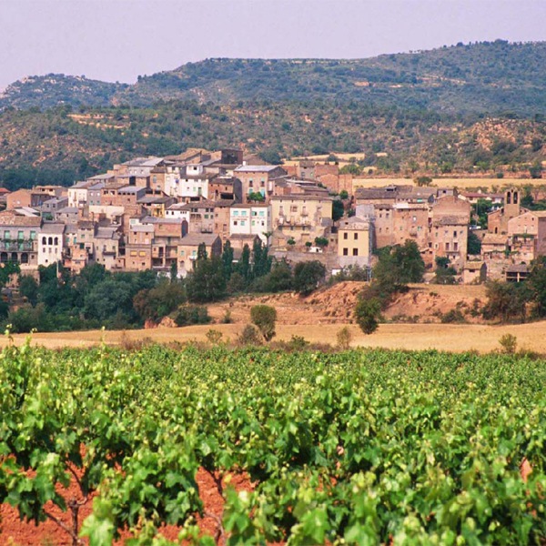 ���ꥹ�ƥ����ꡦ�֥�󥳡�Cristiari Blanco