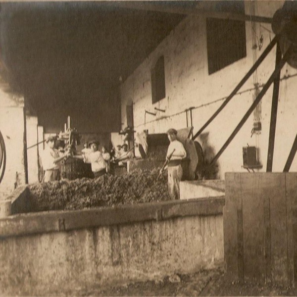 ���롦�ȥ쥷�����1874  �����ڥ���롦�����ƥ���㡼�� �������ۡ�El Tresillo 1874 Especial Amontillado Viejo