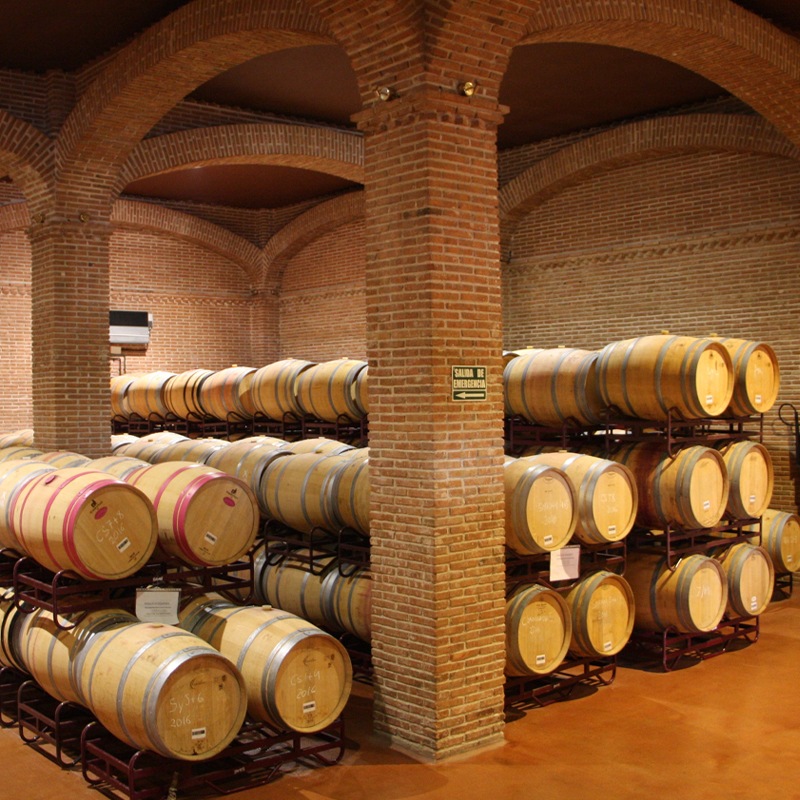 ǥǥ롦ꥵ ץƥɡDehesa del Carrizal Putit Verdot