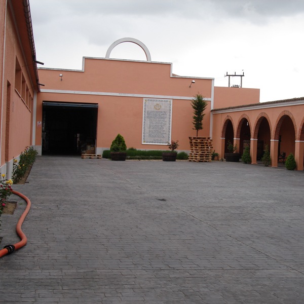 ޥƥ롦˥󡦥֥Mantel Sauvignon Blanc