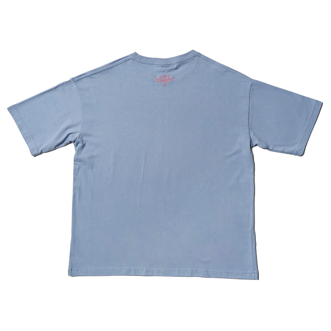 WINGLE STAR DOLPHIN BIG TEE【SMOKEY BLUE】