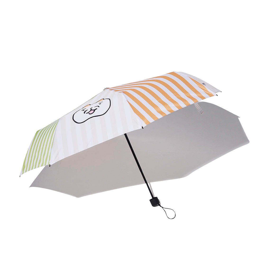 犬光ランド×makomo 