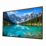 �ڤ����󤻡ۥ��ˡ� �֥�ӥ� BRAVIA SONY FW-75BZ40P 75�� 4K��̳�ѥǥ����ץ쥤��ˡ�͸���BRAVIA��3ǯ�ݾڡ�