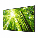 �ڤ����󤻡ۥ��ˡ� �֥�ӥ� BRAVIA SONY FW-43BZ35P 43�� 4K��̳�ѥǥ����ץ쥤��ˡ�͸���BRAVIA��3ǯ�ݾڡ�