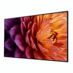 �ڤ����󤻡ۥ��ˡ� �֥�ӥ� BRAVIA SONY FW-55BZ30P 55�� 4K��̳�ѥǥ����ץ쥤��ˡ�͸���BRAVIA��3ǯ�ݾڡ�