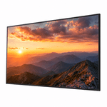 �ڤ����󤻡ۥ��ˡ� �֥�ӥ� BRAVIA SONY FW-50BZ30P 50�� 4K��̳�ѥǥ����ץ쥤��ˡ�͸���BRAVIA��3ǯ�ݾڡ�