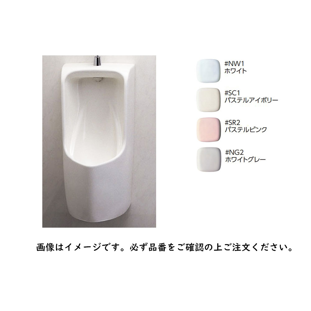 TOTO U570#NW1 (ﾎﾜｲﾄ) (常) : 壁掛壁排水小便器 ∴<br> | TOTO,U 