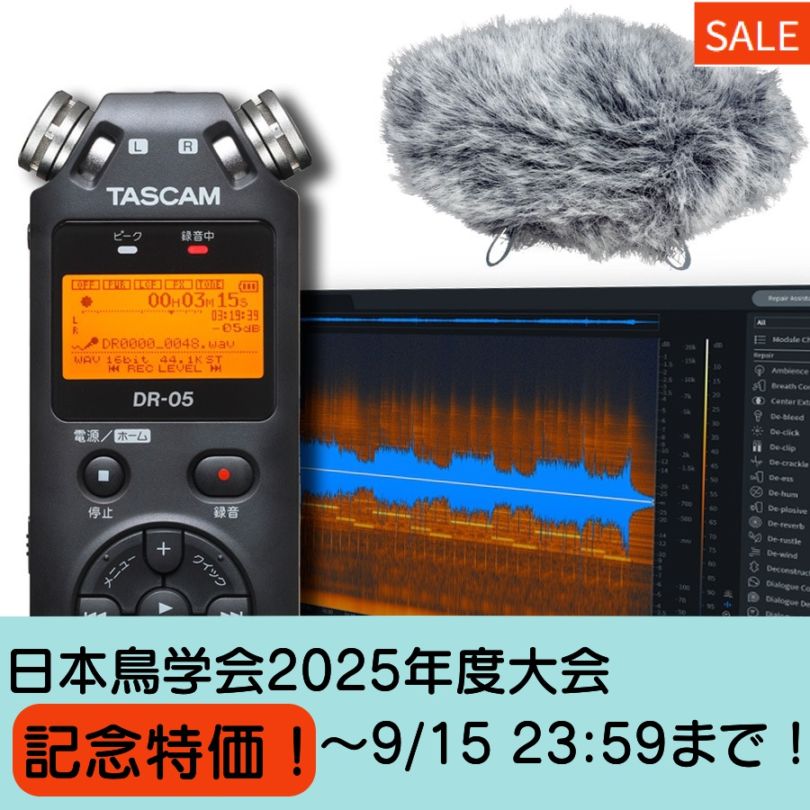 めろ　TAS-CAM DR-05X & バイノーラル録音機 DR-05X | 2-Channel Portable Handheld Recorder With USB