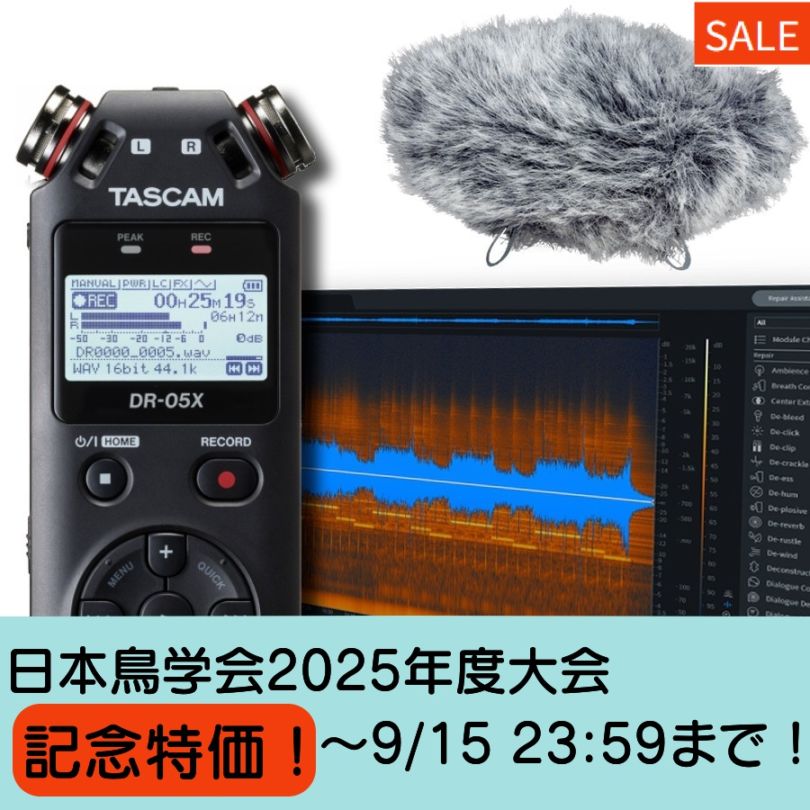 ストア限定 | ティアックストア