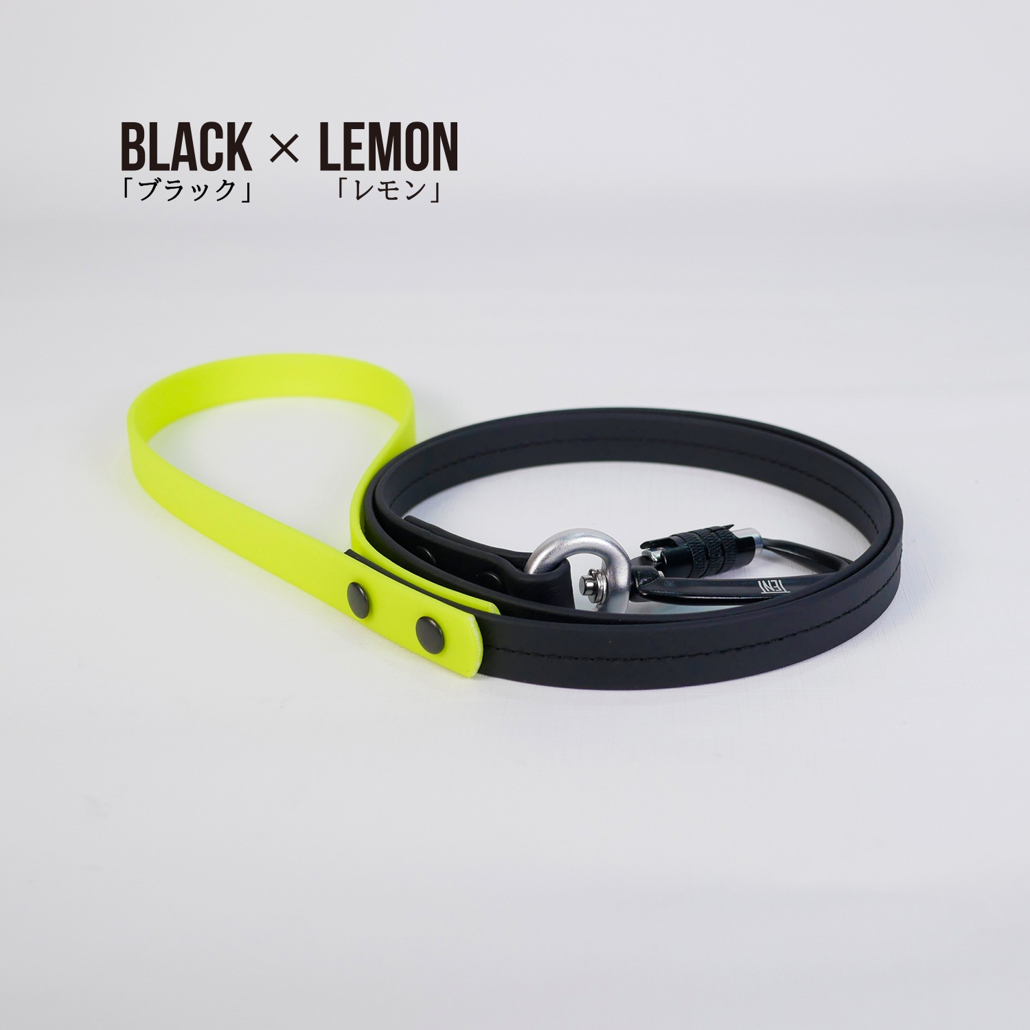 FW LEASHESBLACK/֥å