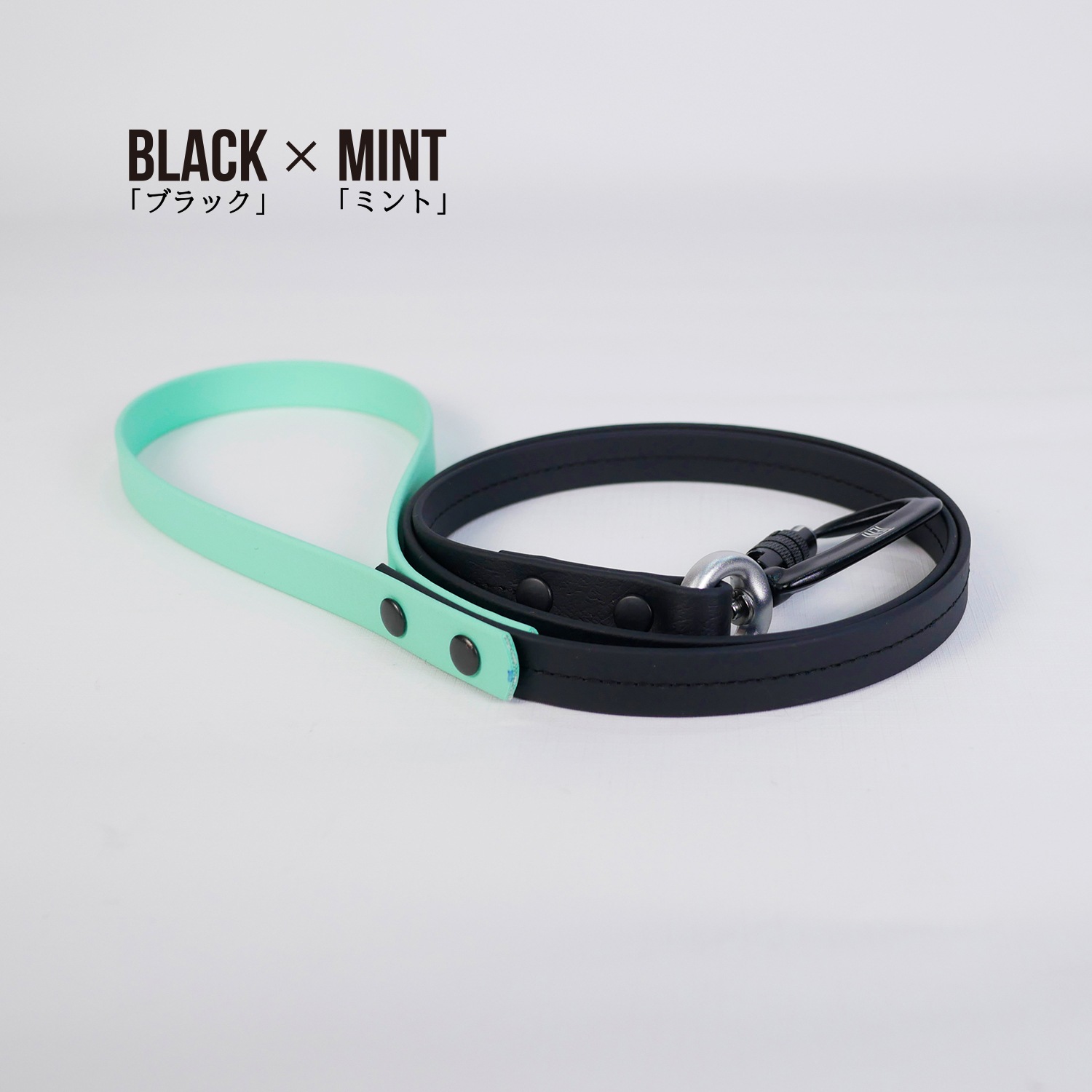 FW LEASHESBLACK/֥å