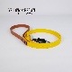 FW LEASHESYELLOW/