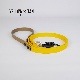 FW LEASHESYELLOW/