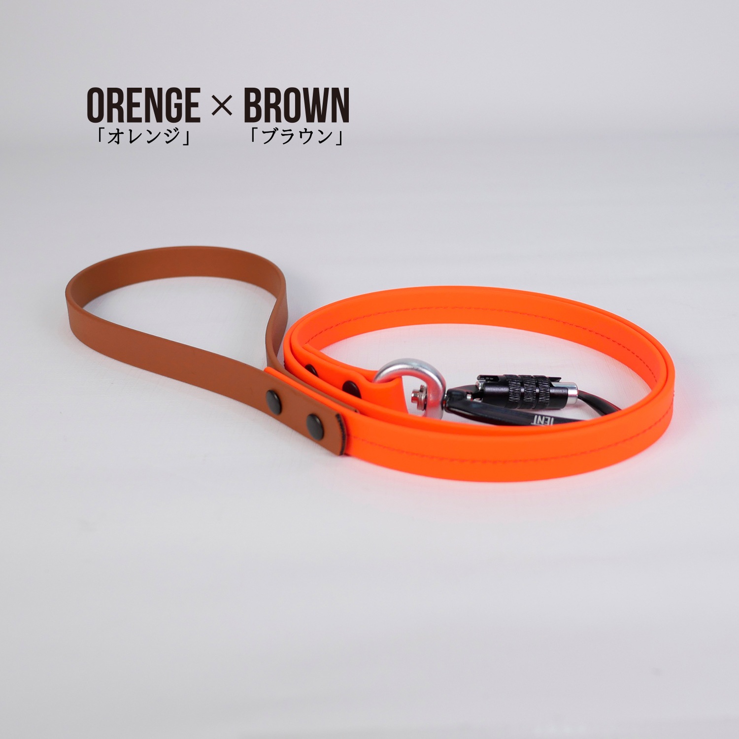 FW LEASHESORENGE/󥸡