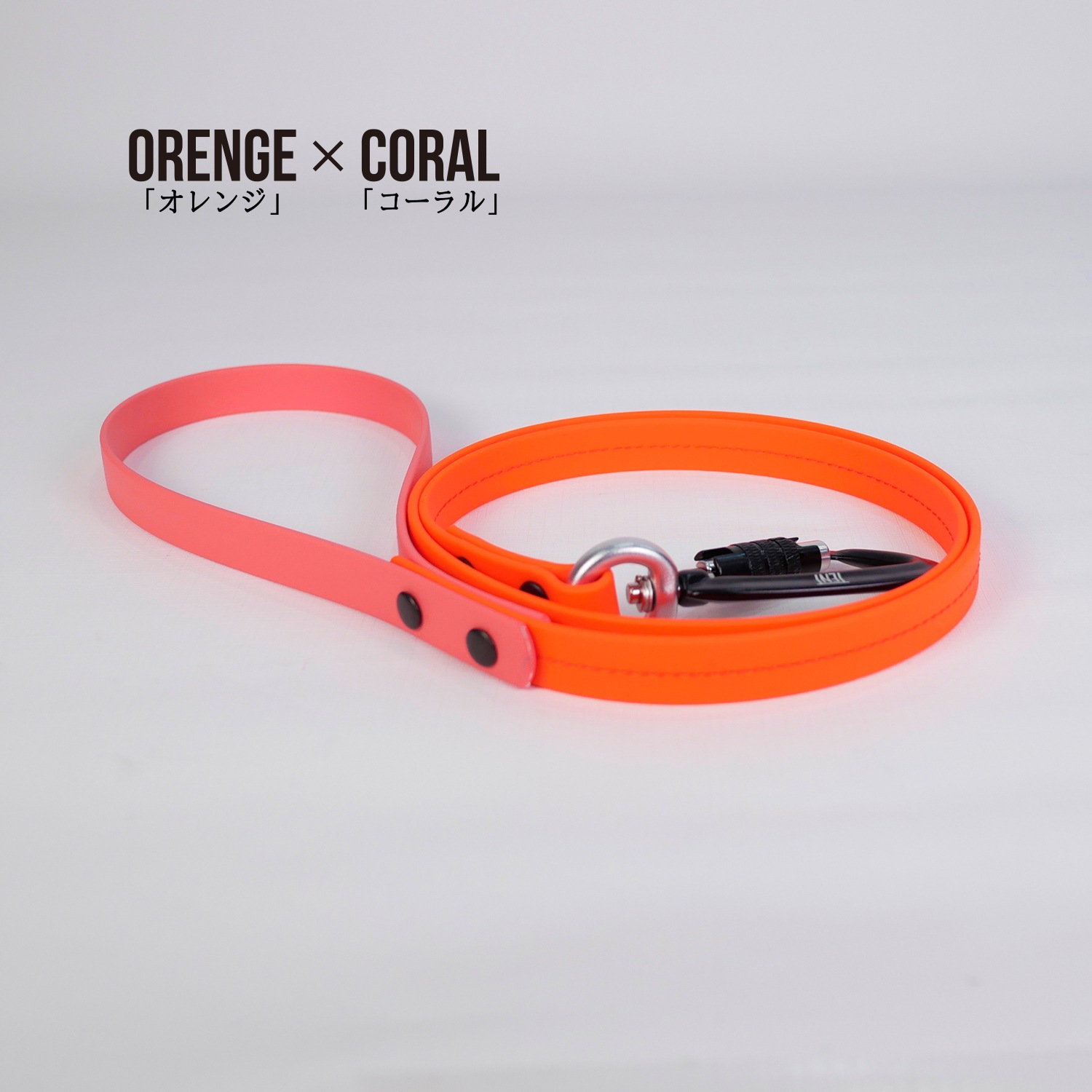 FW LEASHESORENGE/󥸡