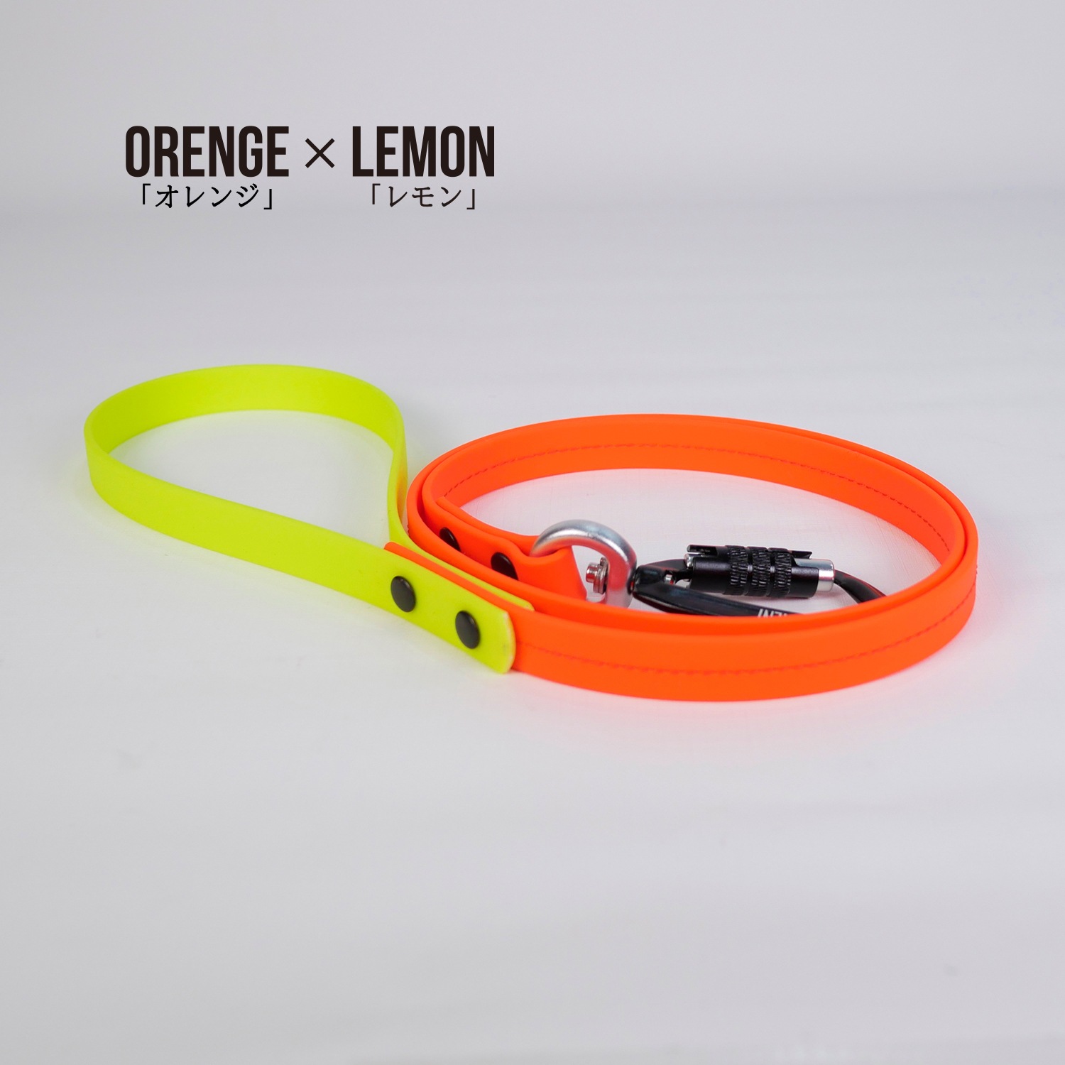 FW LEASHESORENGE/󥸡