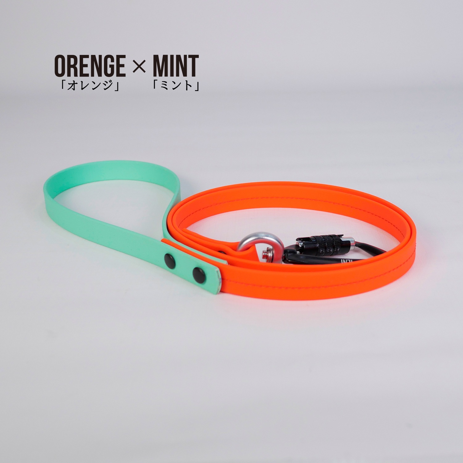 FW LEASHESORENGE/󥸡