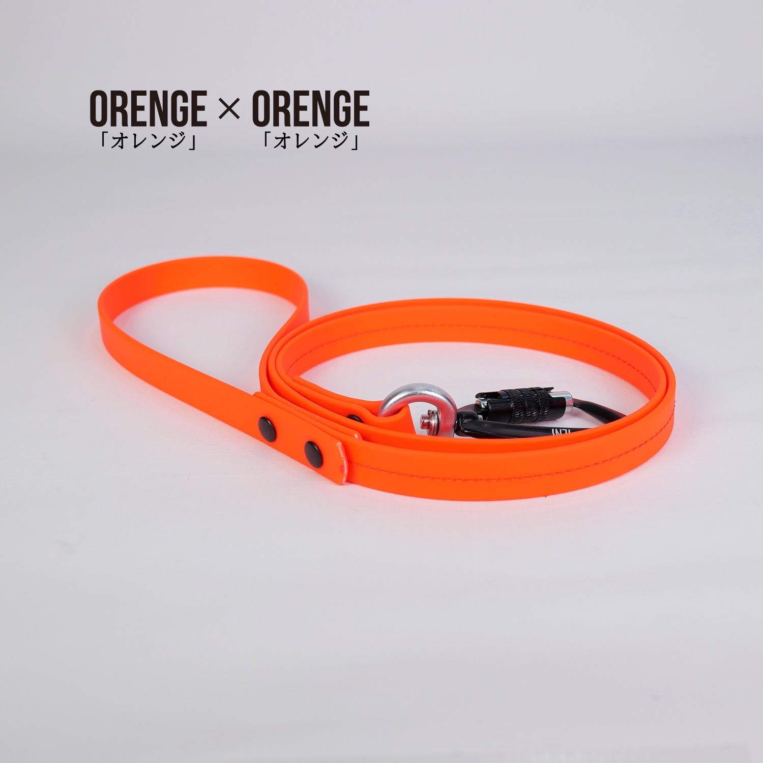 FW LEASHESORENGE/󥸡