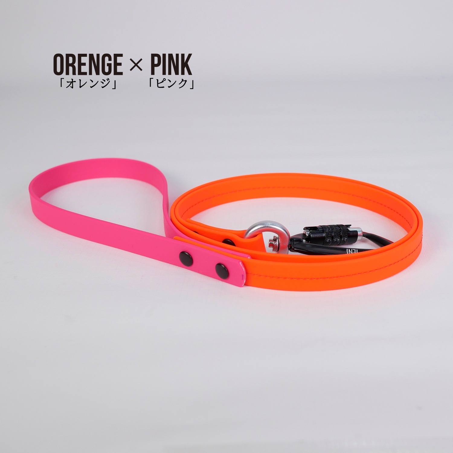 FW LEASHESORENGE/󥸡