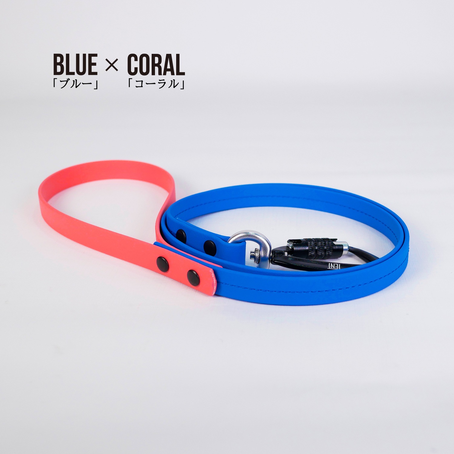 FW LEASHESBLUE/֥롼